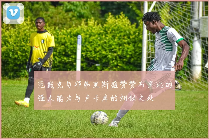范戴克与邓弗里斯盛赞赞布罗比的强大能力与卢卡库的相似之处